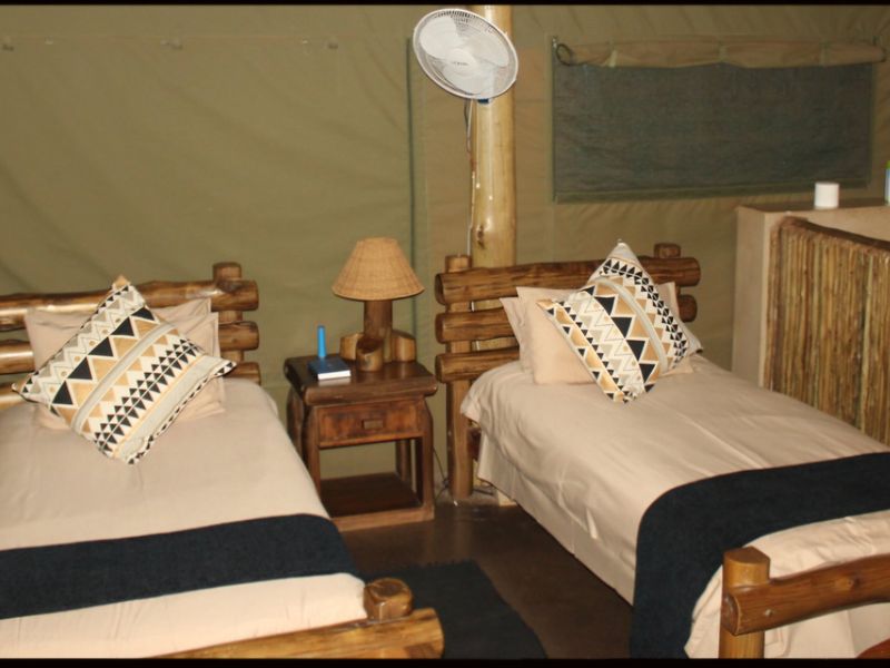 Game Farm for Sale: Prime Location Between Alldays and Musina - Photo 8