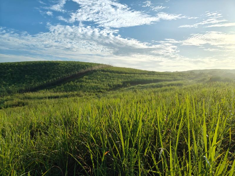 Prime Coastal Opportunity: Stand 2196, Seaton Estate, Ballito - Photo 5