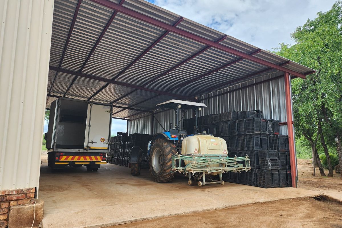 EXCEPTIONAL AGRICULTURAL OPPORTUNITY NEAR MUSINA - Photo 5