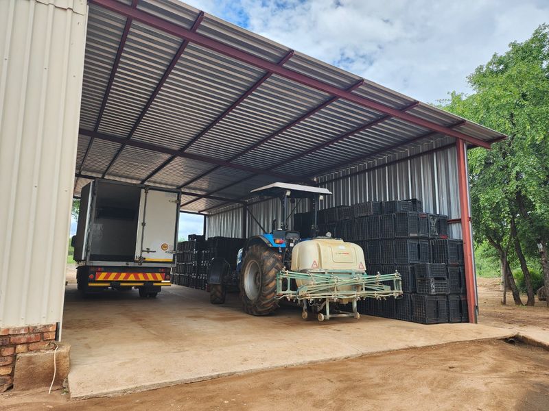 EXCEPTIONAL AGRICULTURAL OPPORTUNITY NEAR MUSINA - Photo 5