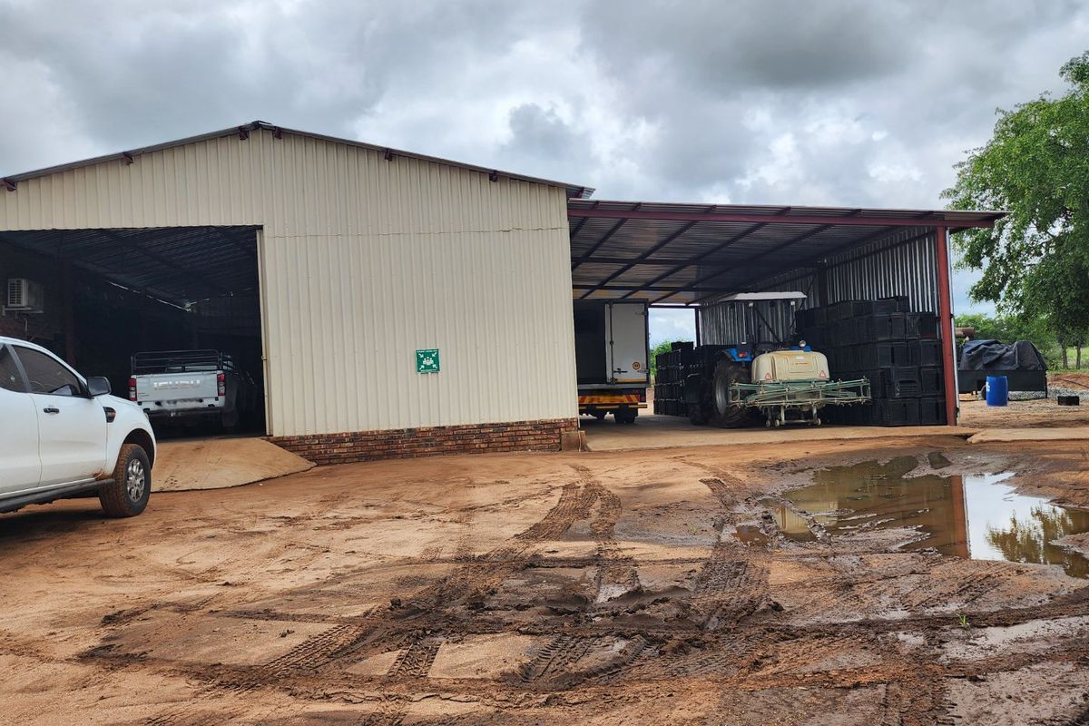 EXCEPTIONAL AGRICULTURAL OPPORTUNITY NEAR MUSINA - Photo 4