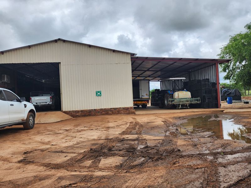 EXCEPTIONAL AGRICULTURAL OPPORTUNITY NEAR MUSINA - Photo 4