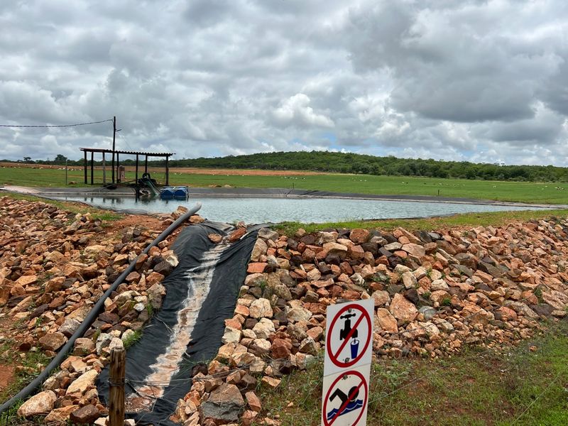 EXCEPTIONAL AGRICULTURAL OPPORTUNITY NEAR MUSINA - Photo 9