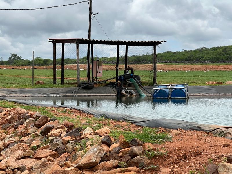 EXCEPTIONAL AGRICULTURAL OPPORTUNITY NEAR MUSINA - Photo 8