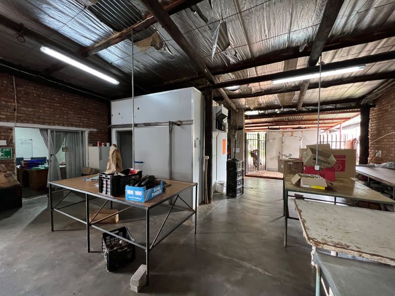 EXCEPTIONAL AGRICULTURAL OPPORTUNITY NEAR MUSINA - Photo 7