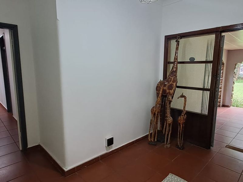 BEAUTIFUL OASIS IN THREE RIVERS PROPER - Photo 5