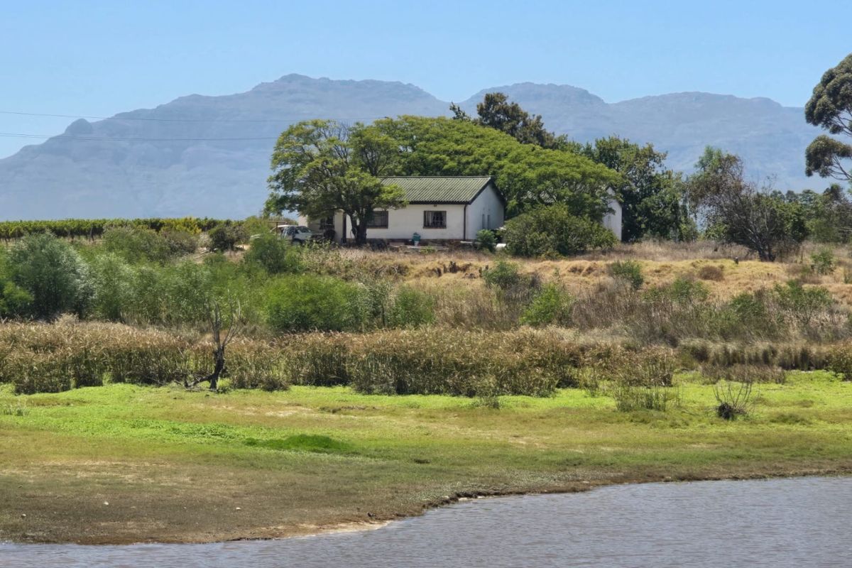 Exceptional 235 Ha Commercial Wine Farm in Stellenbosch - Photo 3