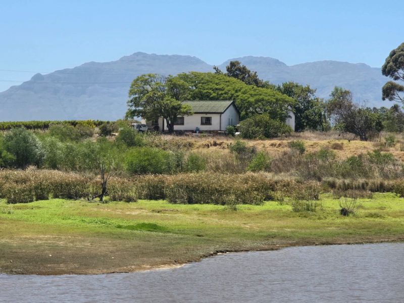 Exceptional 235 Ha Commercial Wine Farm in Stellenbosch - Photo 3