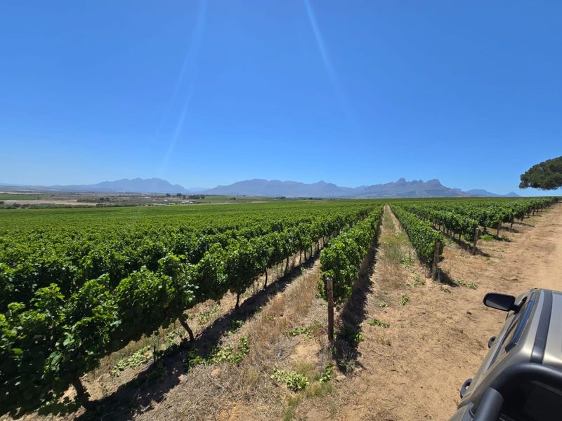 Exceptional 235 Ha Commercial Wine Farm in Stellenbosch - Photo 6