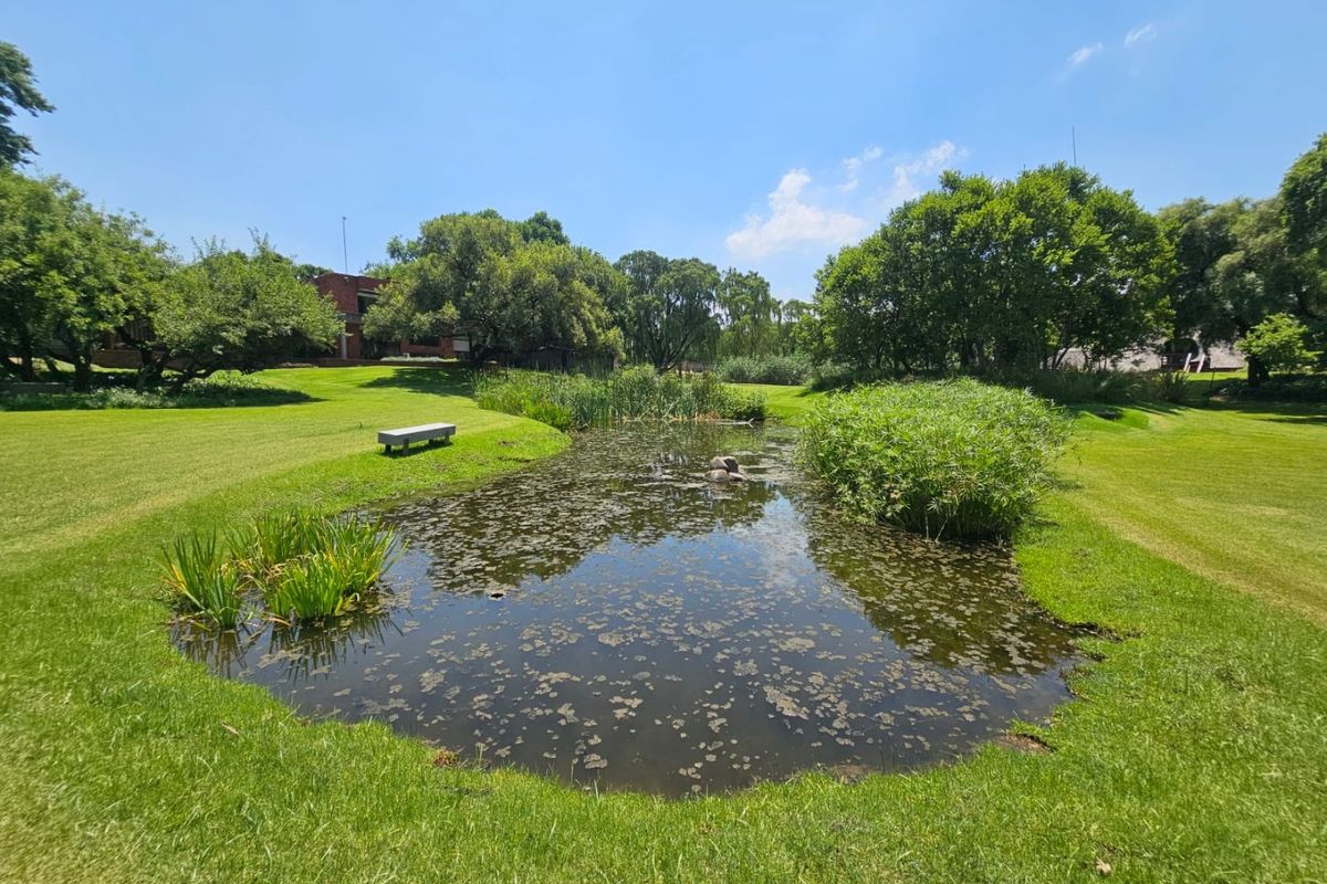 Magnificent Riverfront Plot for Sale in Mullersrust - Photo 3