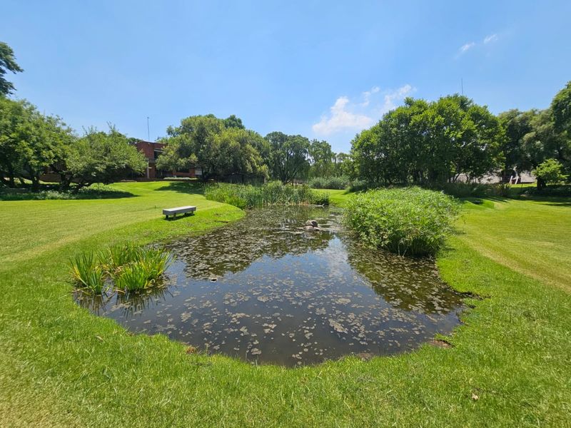 Magnificent Riverfront Plot for Sale in Mullersrust - Photo 3