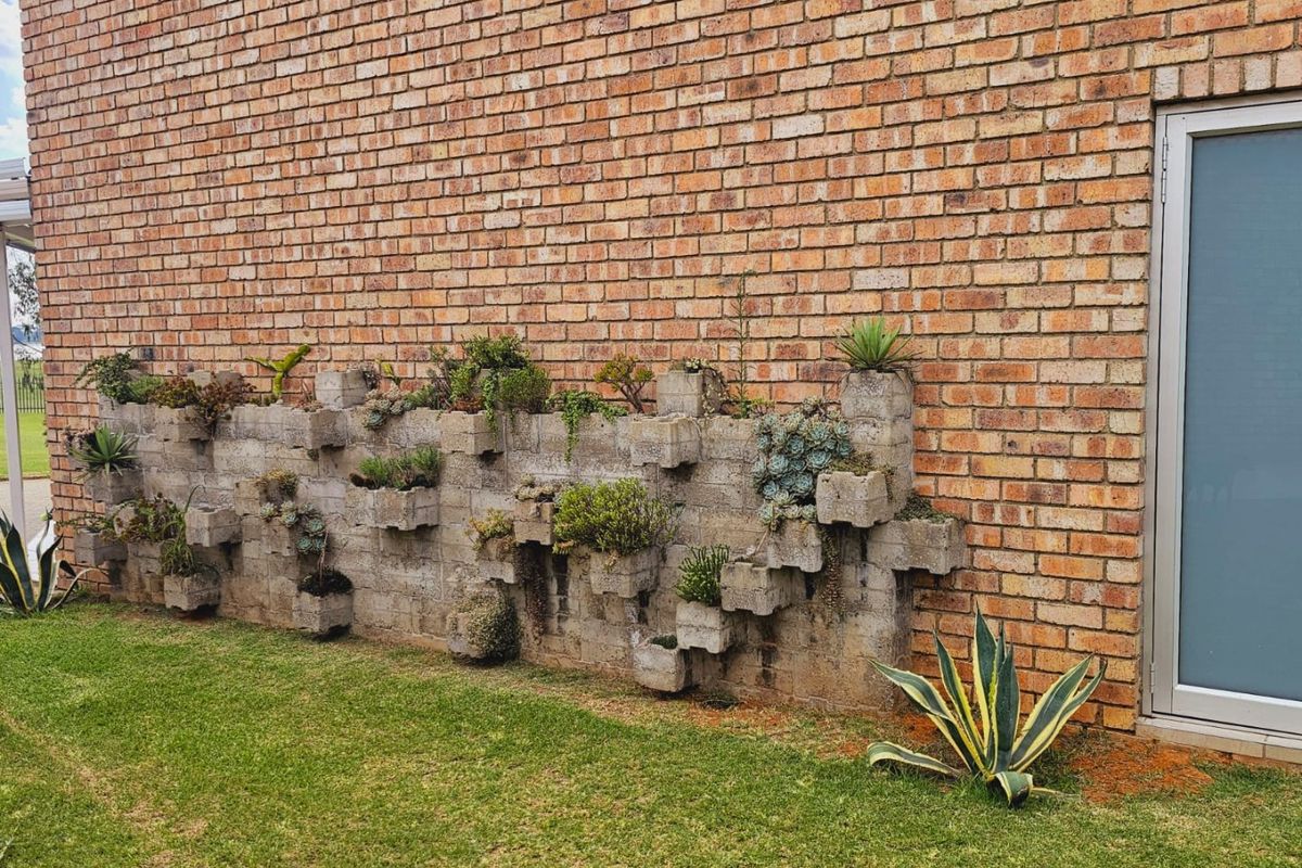 A rear exterior view featuring a face brick wall with an integrated concrete block planter wall and an aluminium frame door.
