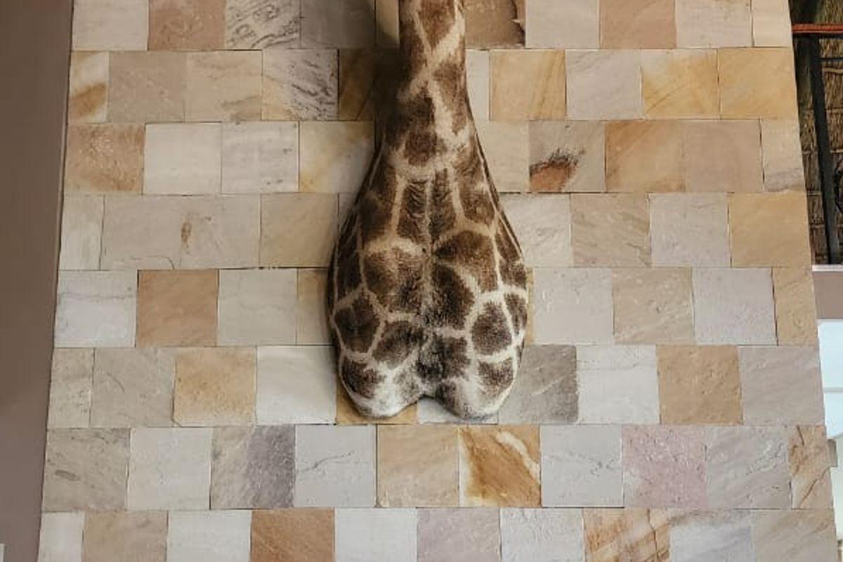 SPECTACULAR ONE OF A KIND PROPERTY ON THE BANKS OF THE VAALRIVER!!! - Photo 3