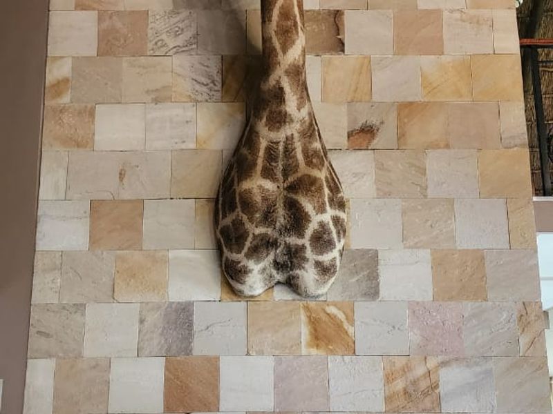 SPECTACULAR ONE OF A KIND PROPERTY ON THE BANKS OF THE VAALRIVER!!! - Photo 3