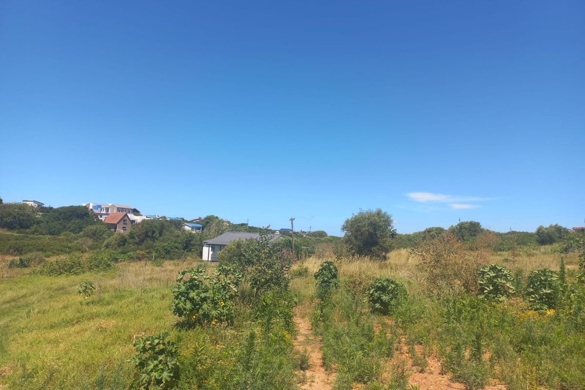 A wide-angle view of the expansive farm grounds featuring natural vegetation and surrounding landscape.