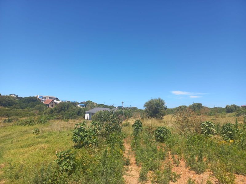 A wide-angle view of the expansive farm grounds featuring natural vegetation and surrounding landscape.