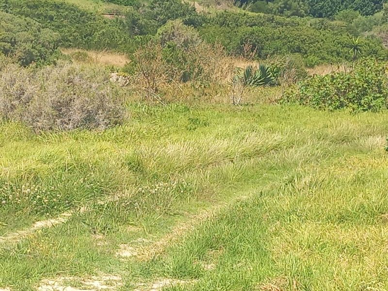 A view of the natural landscape and grassland on the farm property.