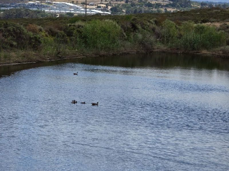 A Prime Stellenbosch Wine Farm Lifestyle Opportunity - Photo 5