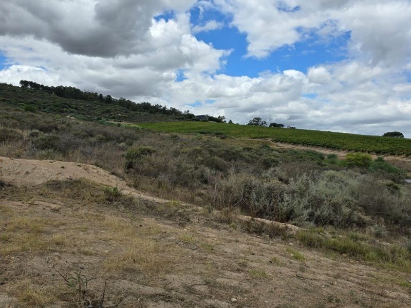 A Prime Stellenbosch Wine Farm Lifestyle Opportunity - Photo 10