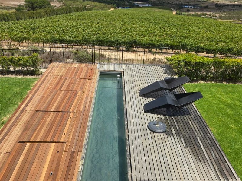 A Prime Stellenbosch Wine Farm Lifestyle Opportunity - Photo 2