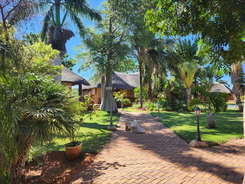 Exquisite 2070 ha Game Farm for Sale near Musina, Limpopo - Photo 5