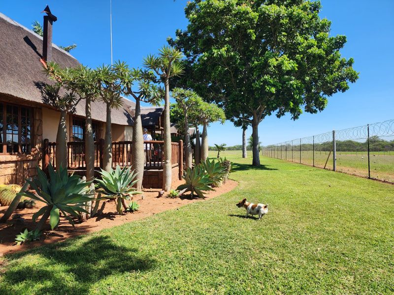Exquisite 2070 ha Game Farm for Sale near Musina, Limpopo - Photo 7