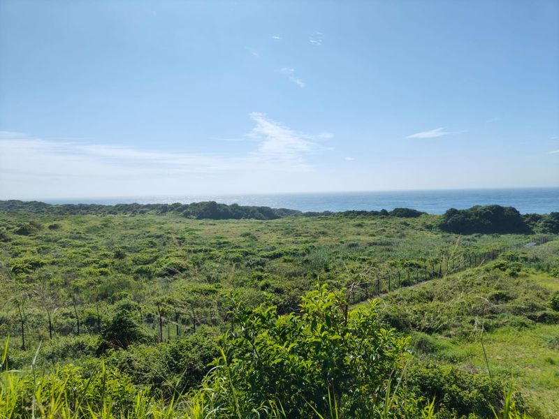 Seaton Estate: Exclusive Coastal Living on the KZN North Coast - Photo 6