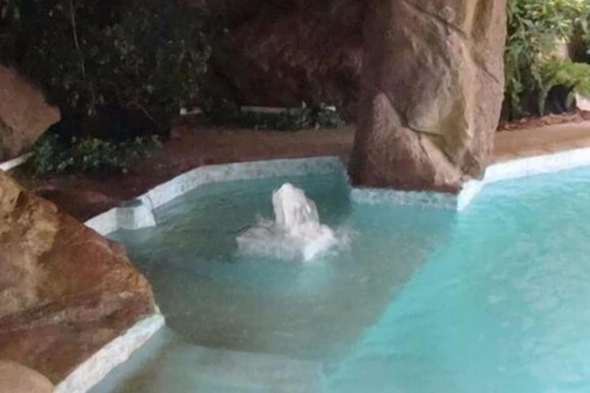 EXCLUSIVE 3-STAR GUEST LODGE with Conference facility - RUNNING BUSINESS - Solar - Photo 4