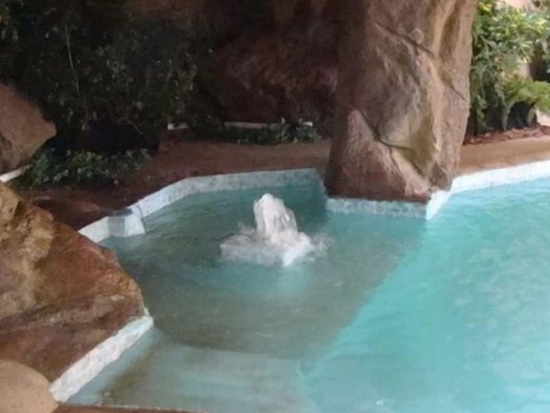 EXCLUSIVE 3-STAR GUEST LODGE with Conference facility - RUNNING BUSINESS - Solar - Photo 4