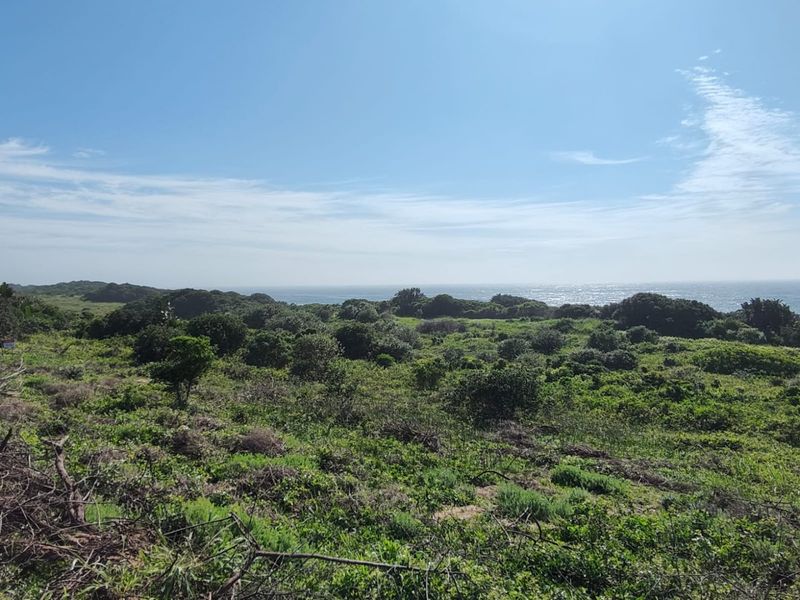 Seaton Estate: Exclusive Coastal Living on the KZN North Coast - Photo 2