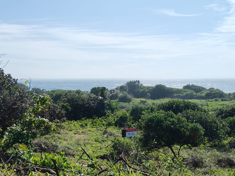 Seaton Estate: Exclusive Coastal Living on the KZN North Coast - Photo 3