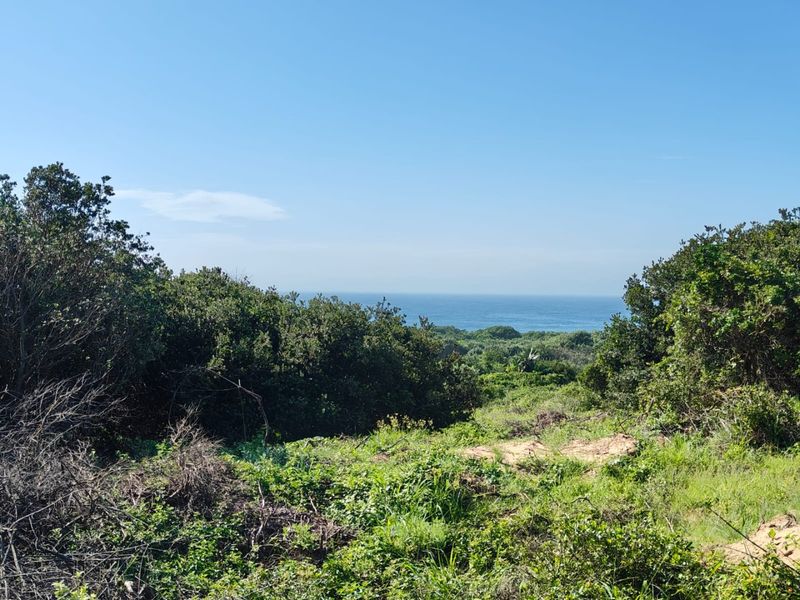 Seaton Estate: Exclusive Coastal Living on the KZN North Coast - Photo 4