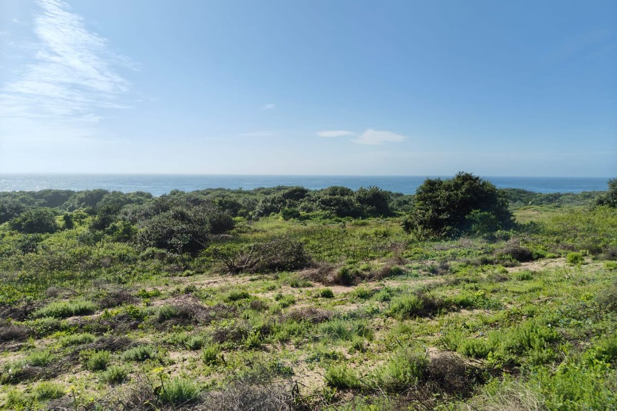 Seaton Estate: Exclusive Coastal Living on the KZN North Coast - Photo 3