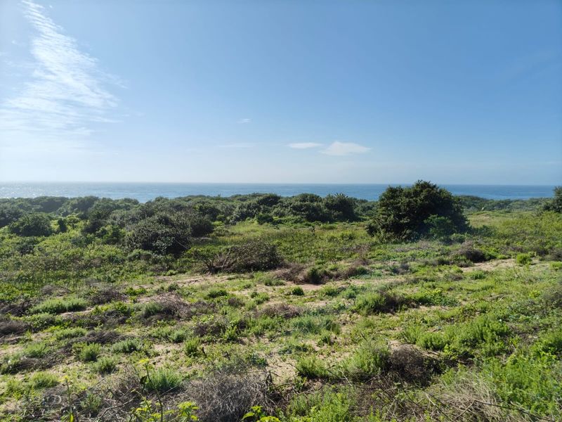 Seaton Estate: Exclusive Coastal Living on the KZN North Coast - Photo 3