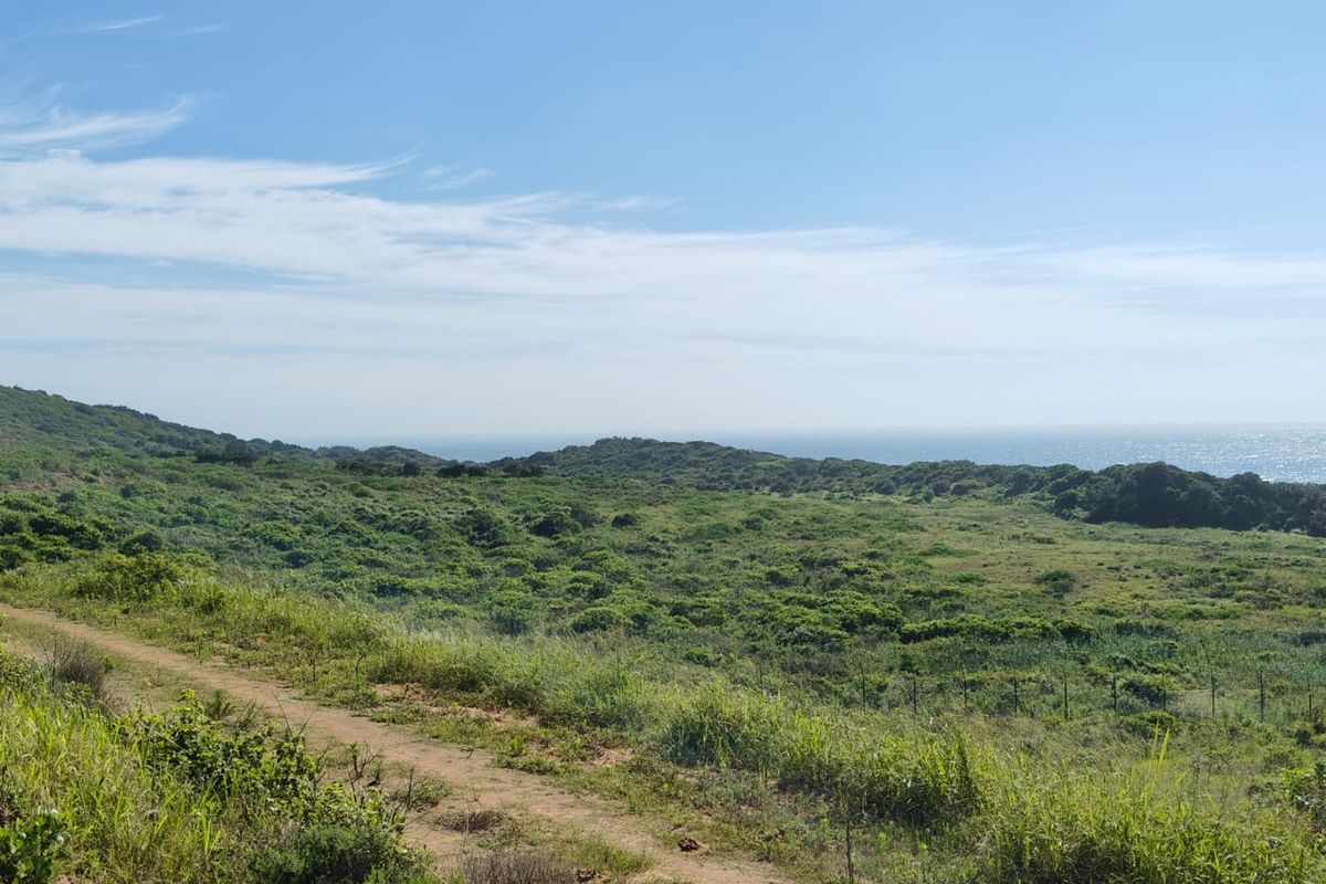 Seaton Estate: Exclusive Coastal Living on the KZN North Coast - Photo 3