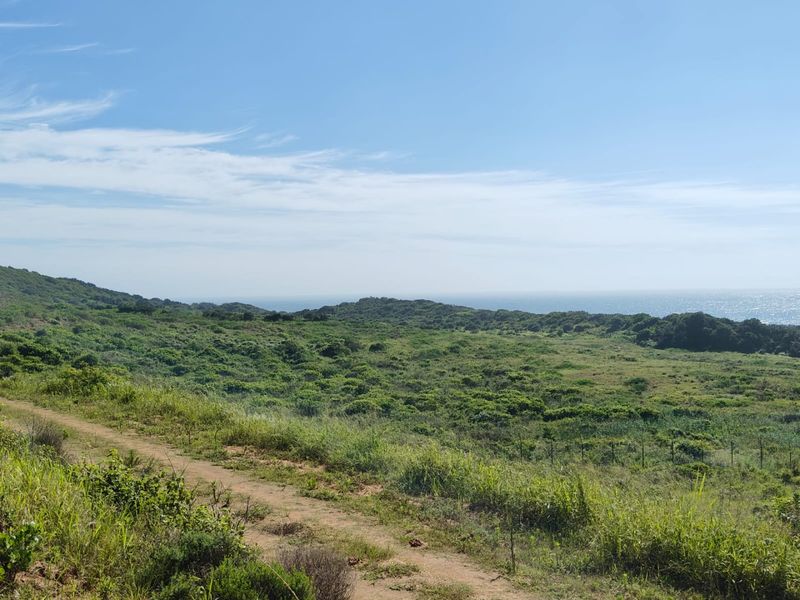 Seaton Estate: Exclusive Coastal Living on the KZN North Coast - Photo 3