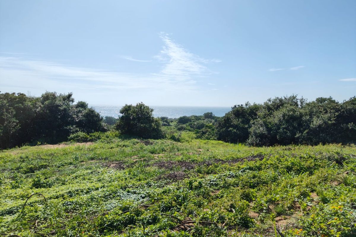 Seaton Estate: Exclusive Coastal Living on the KZN North Coast - Photo 4