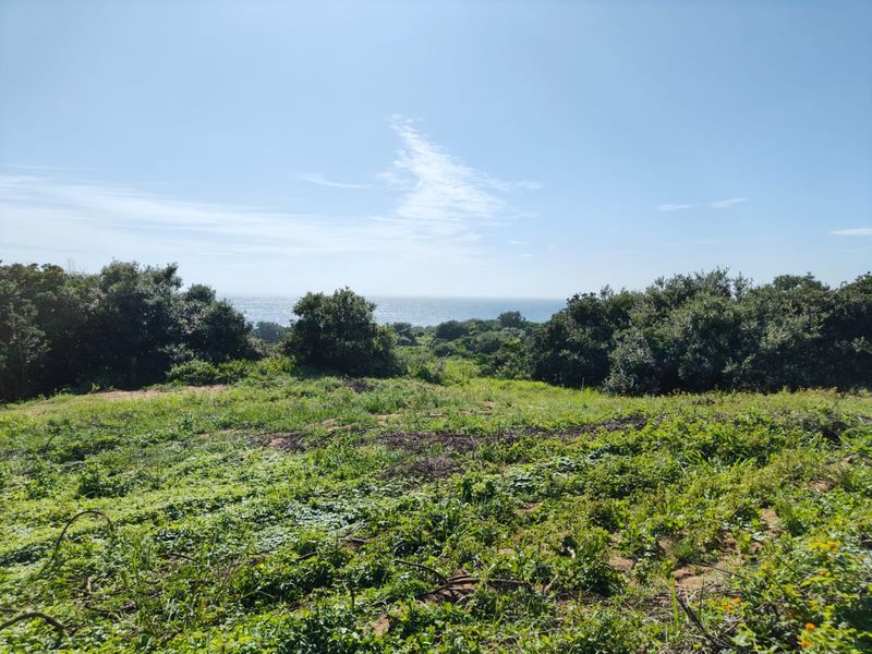 Seaton Estate: Exclusive Coastal Living on the KZN North Coast - Photo 4