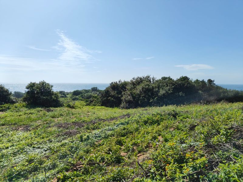 Seaton Estate: Exclusive Coastal Living on the KZN North Coast - Photo 5