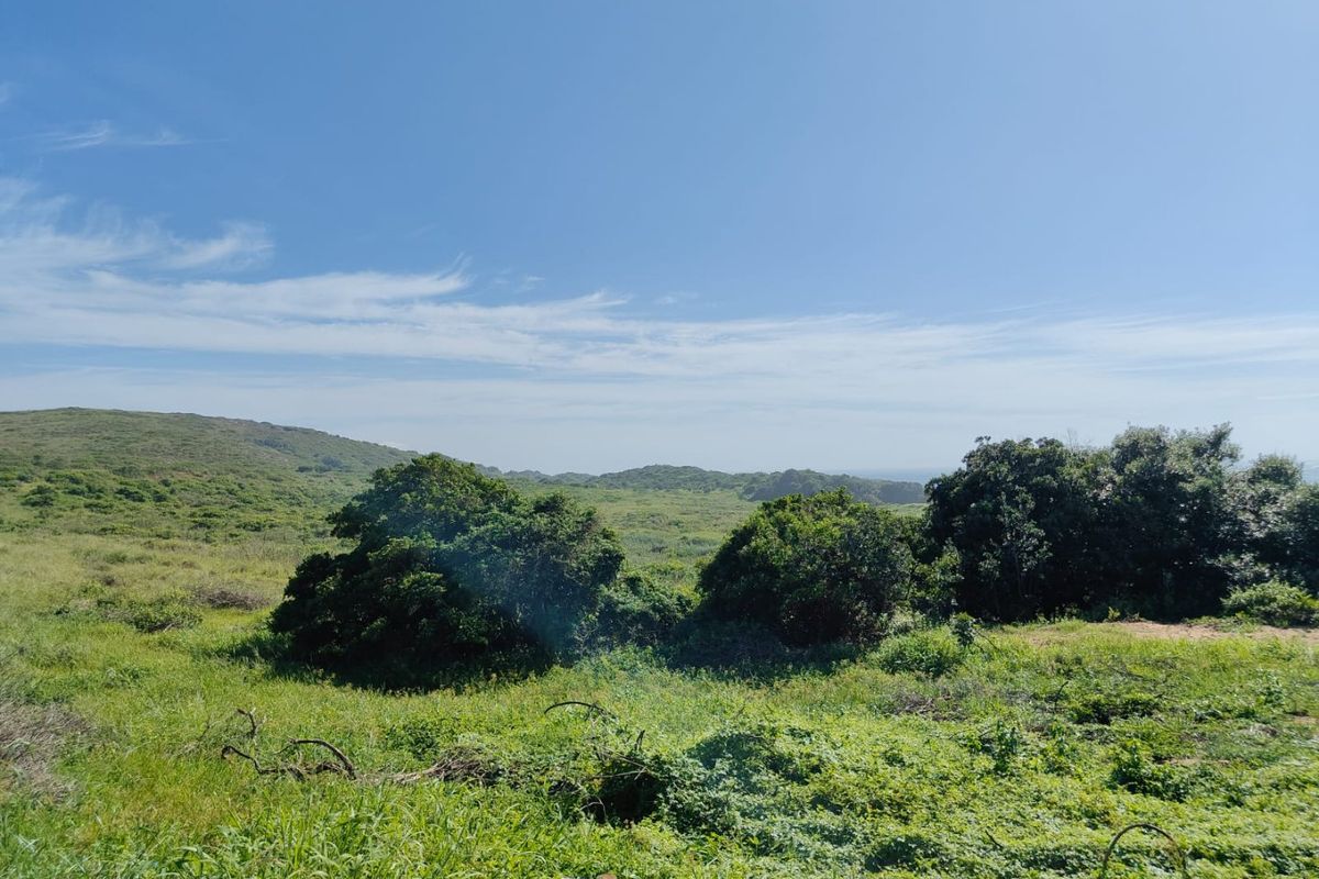 Seaton Estate: Exclusive Coastal Living on the KZN North Coast - Photo 2