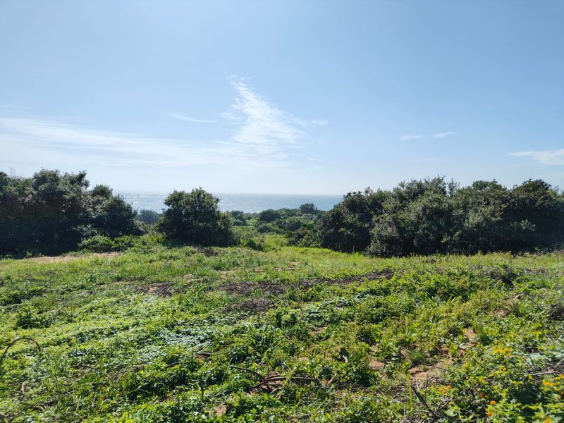 Seaton Estate: Exclusive Coastal Living on the KZN North Coast - Photo 6