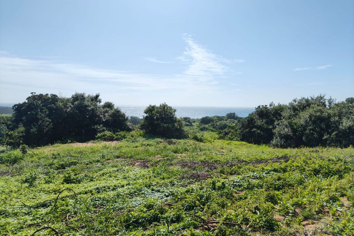 Seaton Estate: Exclusive Coastal Living on the KZN North Coast - Photo 3