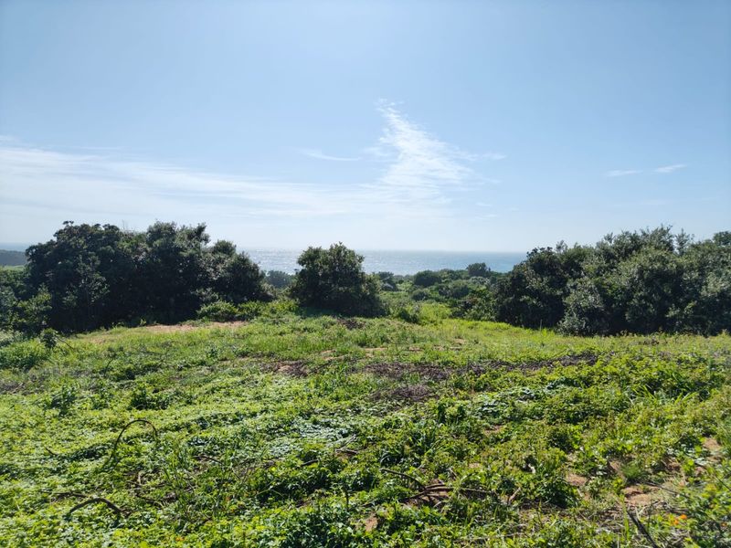 Seaton Estate: Exclusive Coastal Living on the KZN North Coast - Photo 3