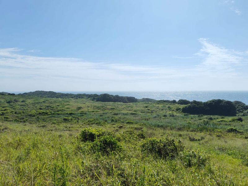 Seaton Estate: Exclusive Coastal Living on the KZN North Coast - Photo 5