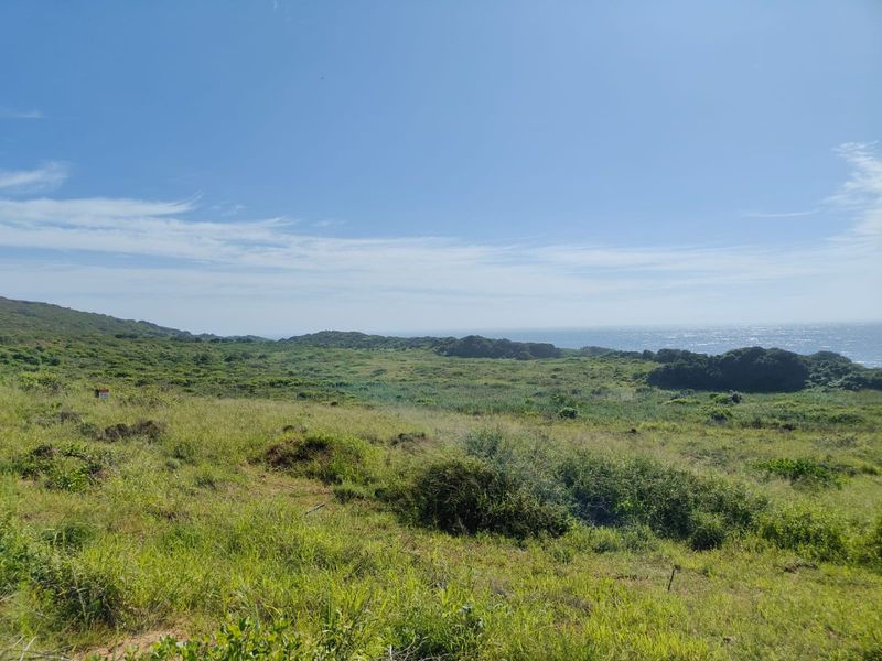 Seaton Estate: Exclusive Coastal Living on the KZN North Coast - Photo 8