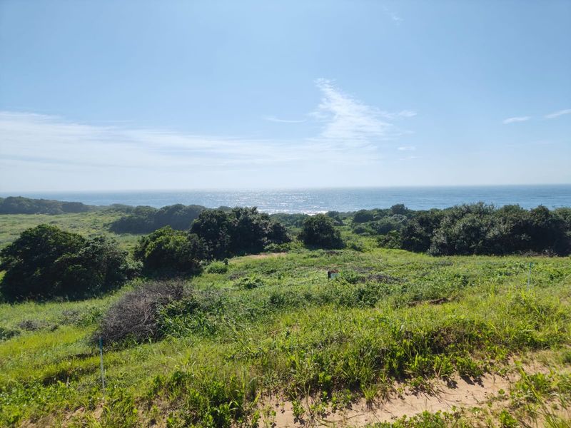 Seaton Estate: Exclusive Coastal Living on the KZN North Coast - Photo 3