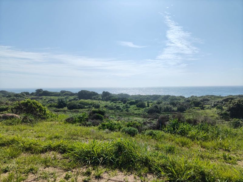 Seaton Estate: Exclusive Coastal Living on the KZN North Coast - Photo 5