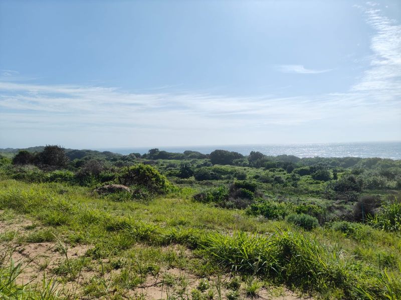 Seaton Estate: Exclusive Coastal Living on the KZN North Coast - Photo 3