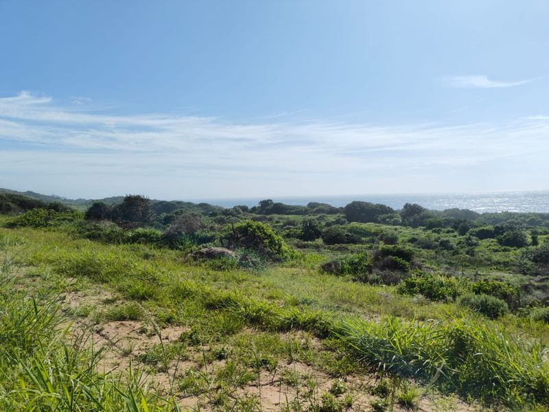 Seaton Estate: Exclusive Coastal Living on the KZN North Coast - Photo 2