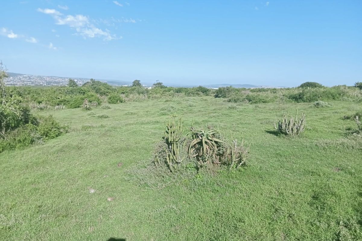 A wide-angle view of an expansive, undeveloped residential plot featuring natural grassland and indigenous vegetation under a clear blue sky.